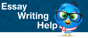 Online Dissertation Writing Help